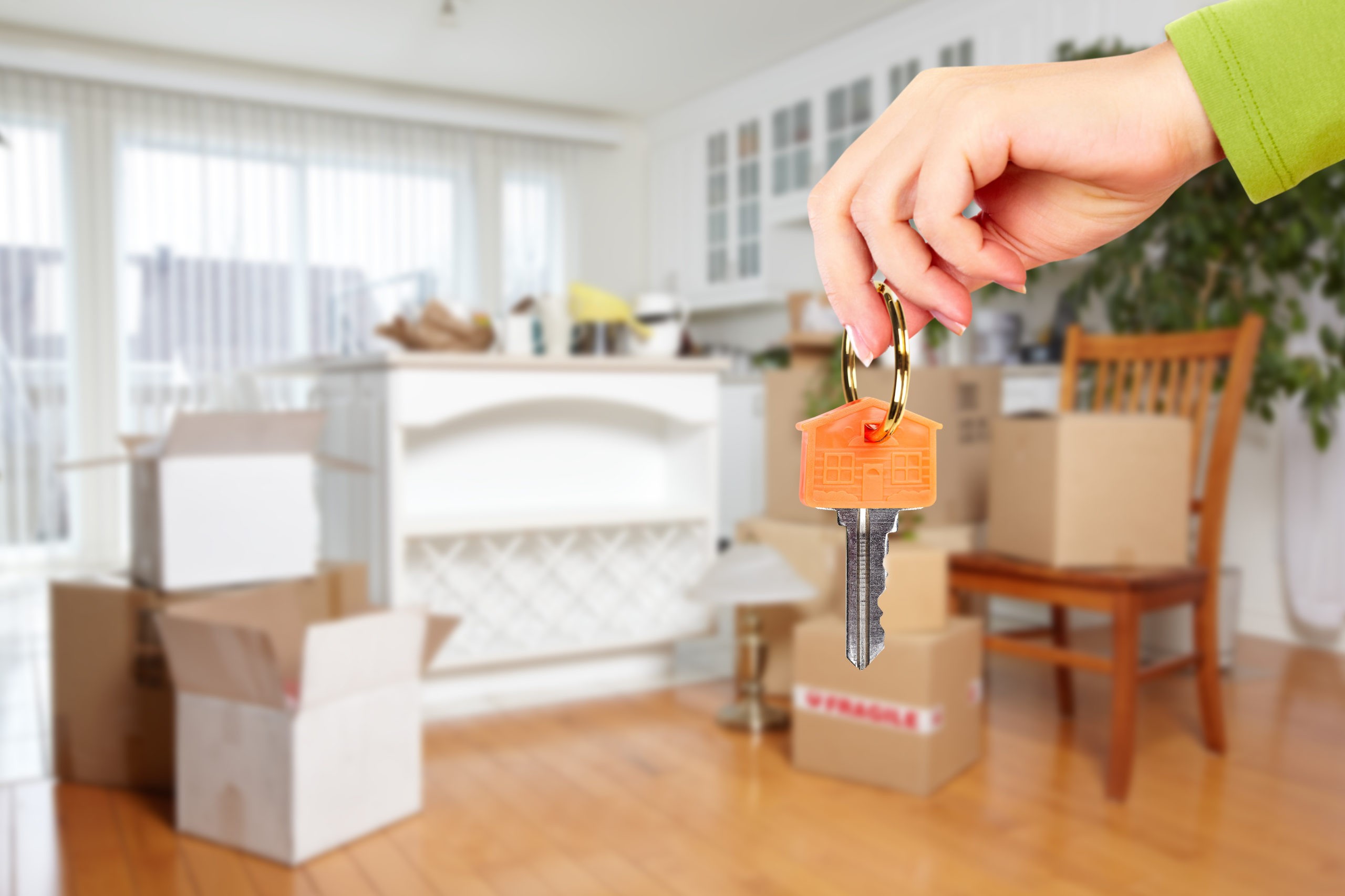 Quelles sont les particularités du contrat de bail meublé?